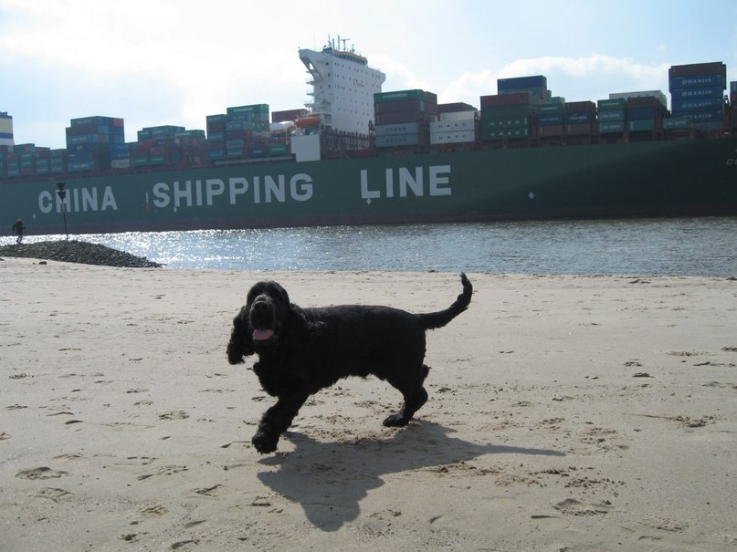 Inna Lazerus | Hamburg