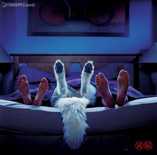 №1, Андрей Заложин, 27.11, Москва №1, Андрей Заложин, 27.11, Москва