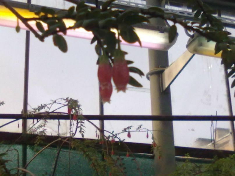 Дмитрий Погудин | Санкт-Петербург