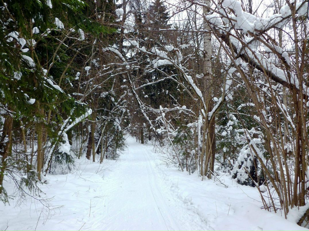Юрий Cosmic | Москва