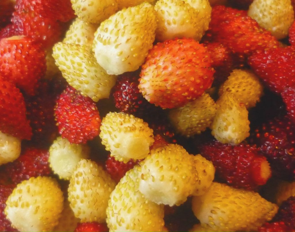 Ольга Слепова | Тюмень