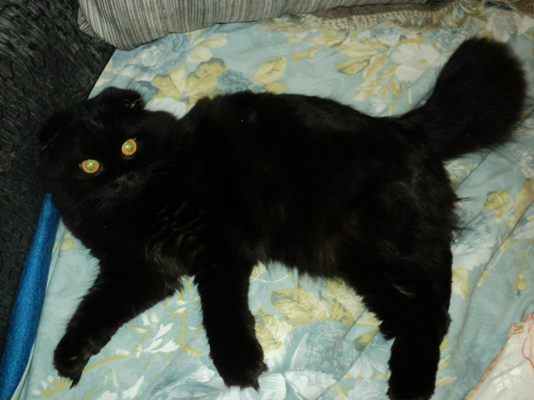 Светлана Юсова | Тверь