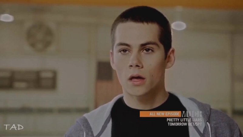 Vines with Dylan