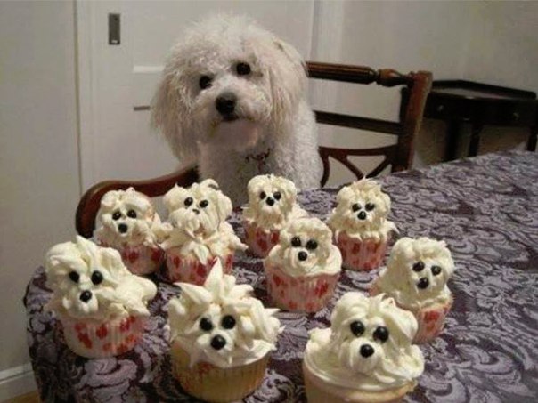 Соня Медведева, Россия, Москва