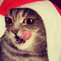 Мария Вагина | Кудара-Сомон