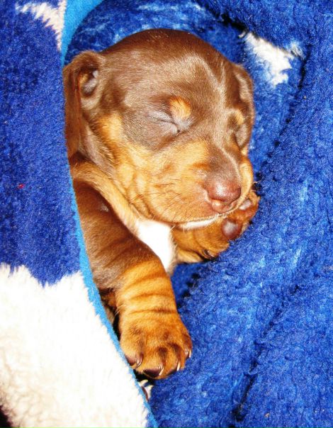 №19, Юлия Тарелкина №19, Юлия Тарелкина