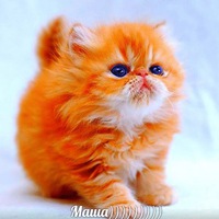 Мария Канаева | Москва