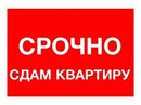 Объявление от Янчик - фото №1
