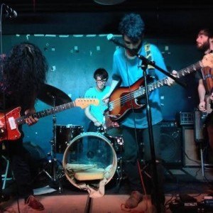 Palehound