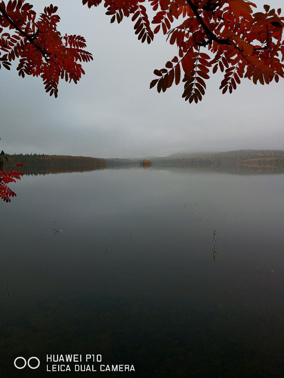 https://sun9-1.userapi.com/c840438/v840438558/f5d8/IOrhlfz5rJQ.jpg