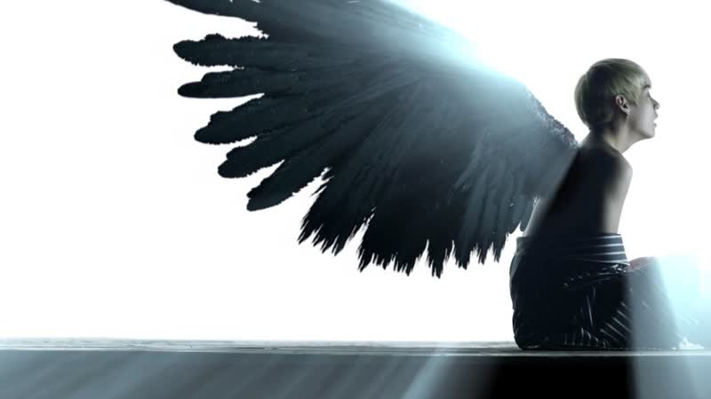 BTS Wings Full Story FSG