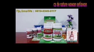 Khasiat Obat Batu Ginjal Gang Jie dan Galgin Karomah De Nature