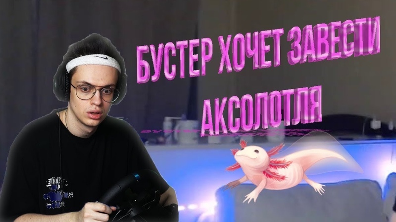 Бустер хочет завести Аксолотля