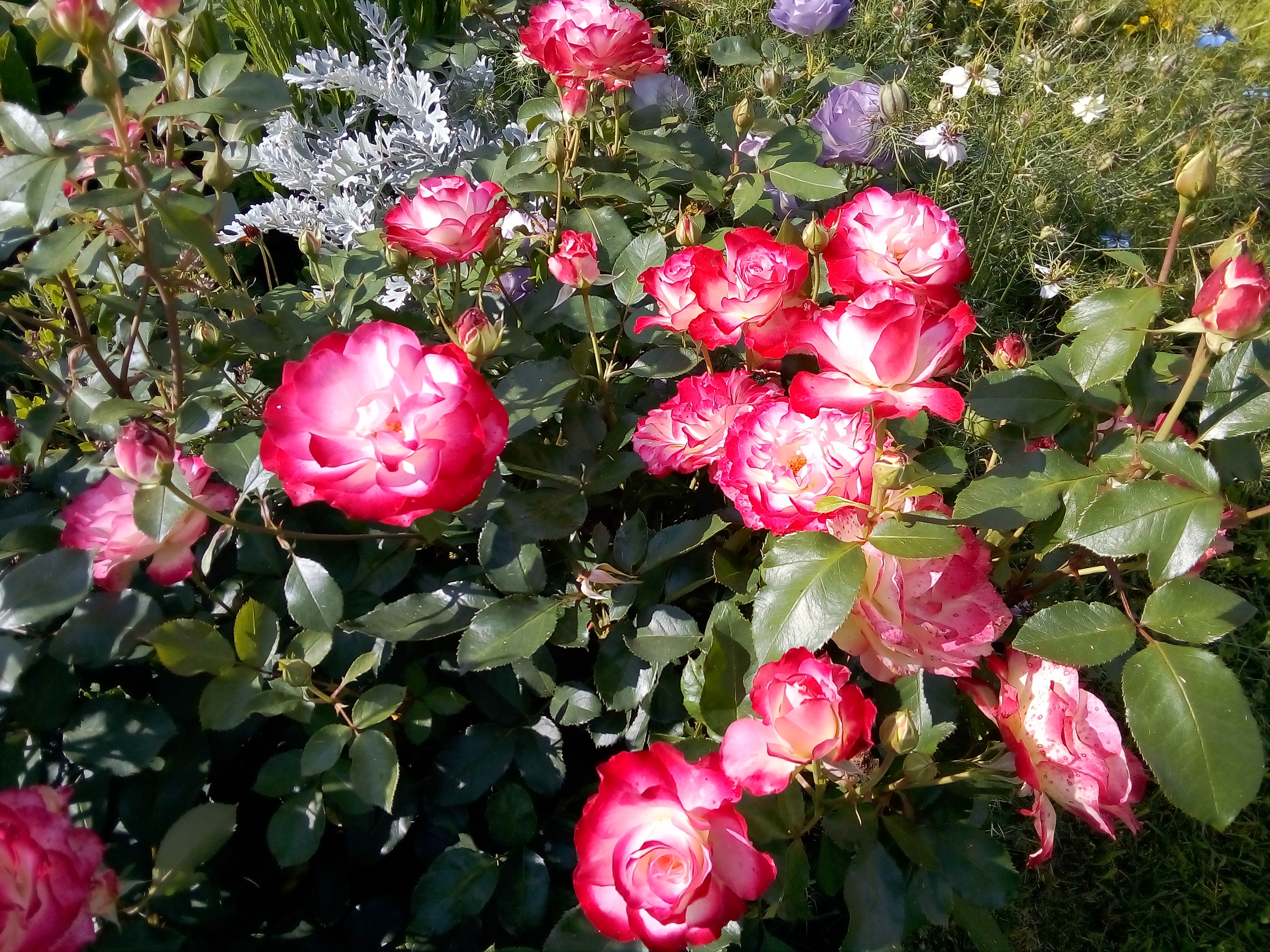 фотография из вКонтакте