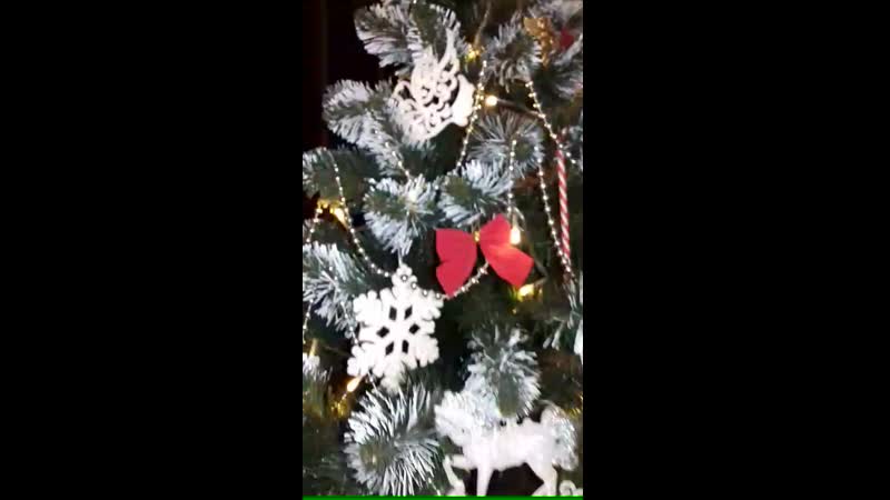 20191207_215452.mp4