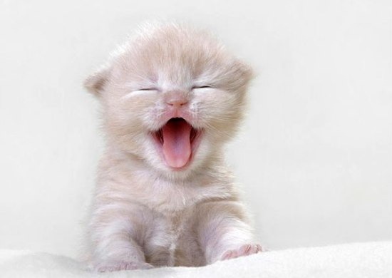 №67, Алена Покидко, Санкт-Петербург №67, Алена Покидко, Санкт-Петербург