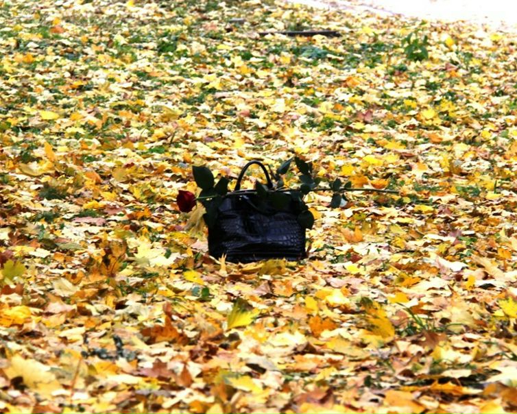 №36, Елена Прохорова, 41 год, Москва №36, Елена Прохорова, 41 год, Москва