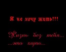 №13 Катюшка * : профиль, фото, статус - ВКонтакте №13 Катюшка * : профиль, фото, статус - ВКонтакте