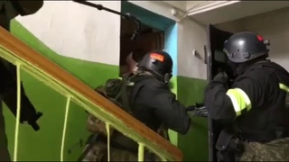 Задержание сторонников ИГИЛ