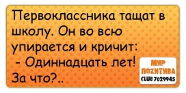 №49, Егор Мельник №49, Егор Мельник