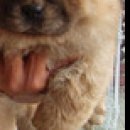 №57, Марина Баклыкова, 26 лет, Самара №57, Марина Баклыкова, 26 лет, Самара