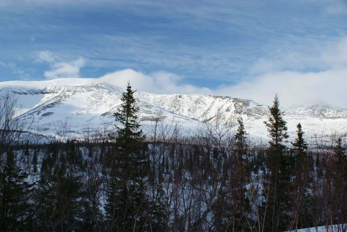 Юрий Волков | Санкт-Петербург