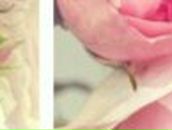 Svetka Bodnar ♥ | Ивано-Франковск