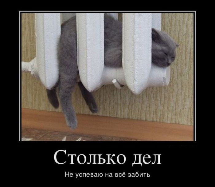 Елена Полякова | Москва