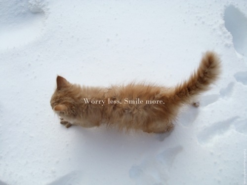 №2, Юля Тесля, Киев №2, Юля Тесля, Киев