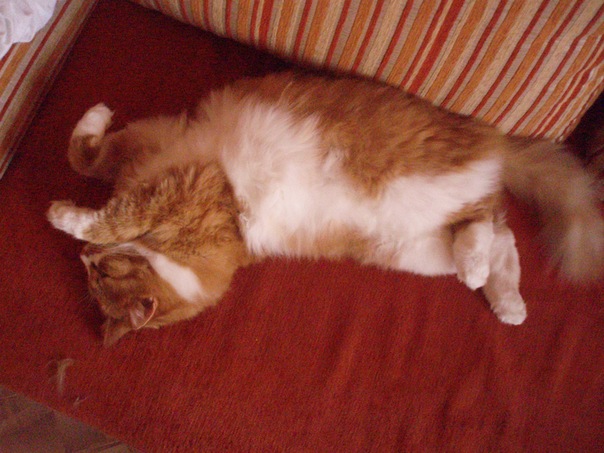 №28, Катя Хоботова, Вологда №28, Катя Хоботова, Вологда