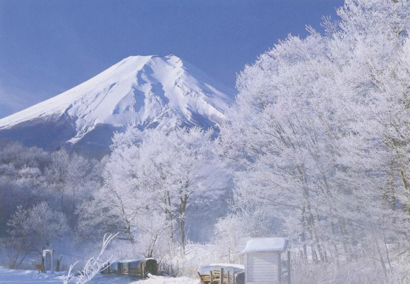 Светлана Светлана | Харьков