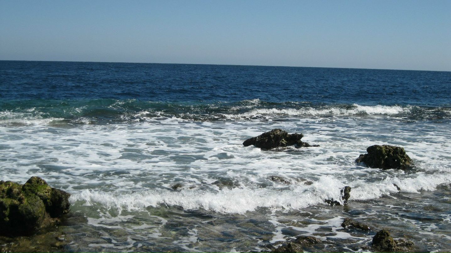 Алёна Рааг | Самара