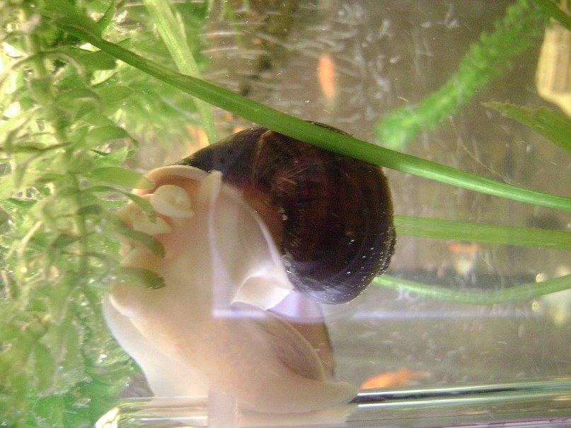 Сергей Романенко | Кривой Рог