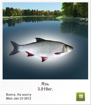 Игорь Лоцман | Васильевка