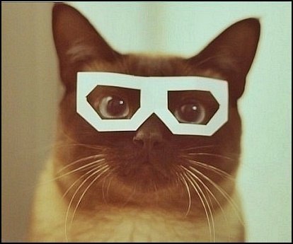 Дмитрий Максимов | 