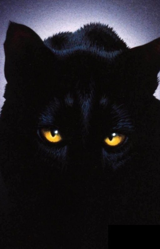 Мария Зрибная | 