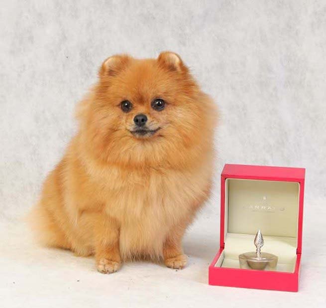 Илья Краснов | Москва