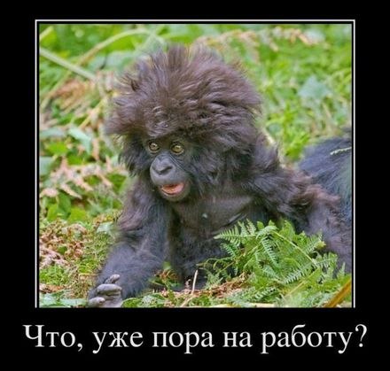 Катерина Харитонова | Москва