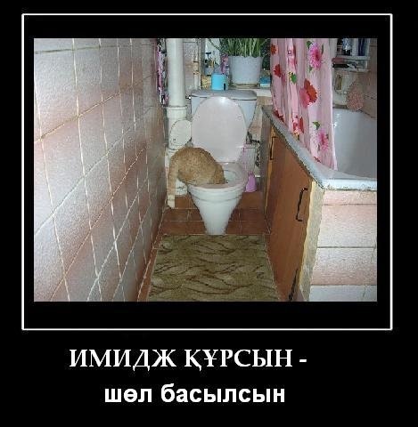 №88, Казахи Питер, Санкт-Петербург, Россия №88, Казахи Питер, Санкт-Петербург, Россия