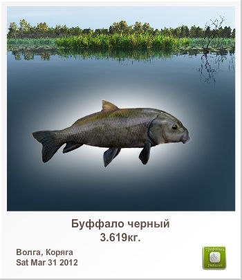 Владимир Литвин Владимирович | Днепр (Днепропетровск)