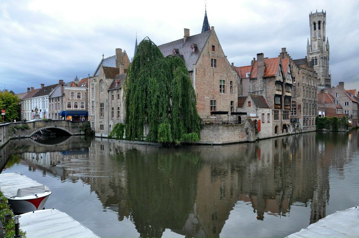 Дмитрий Костин | Le Havre