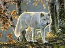 №13 Ирина Мазурова : профиль, фото, статус - ВКонтакте