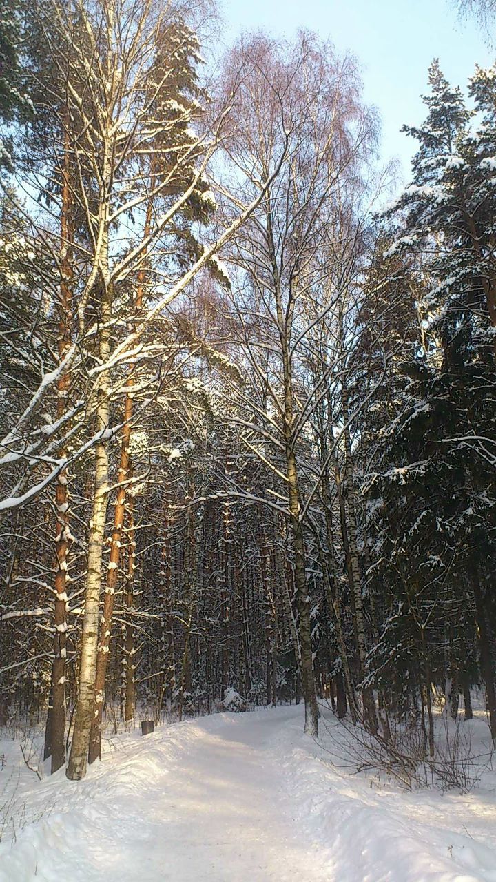 Анастасия Ноздрина | Москва