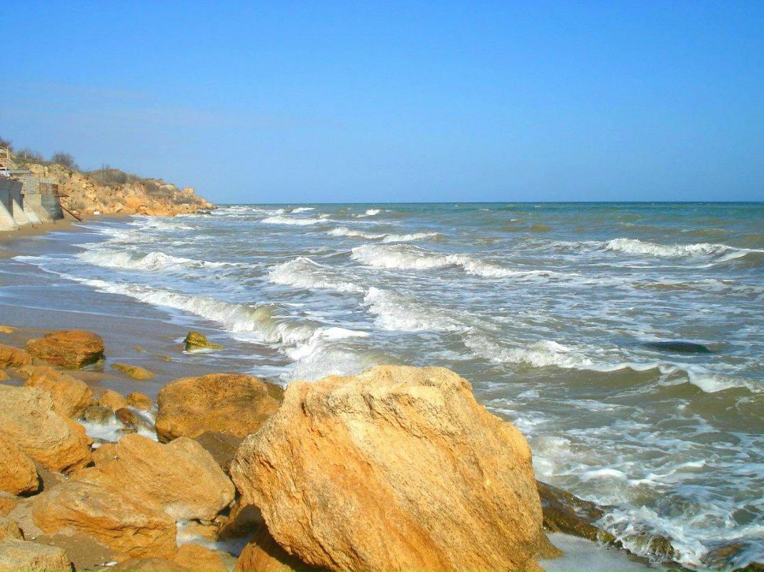 Света Бутова | Одесса