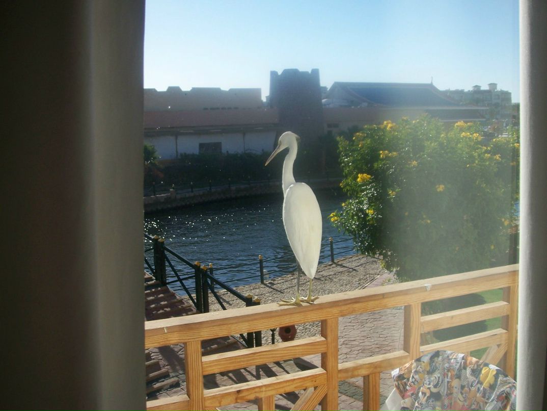 Иван Зайченко xXx__krut__xXx | Москва