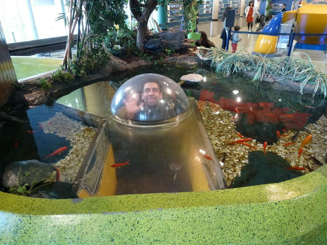 Денис Тарасов | Севастополь