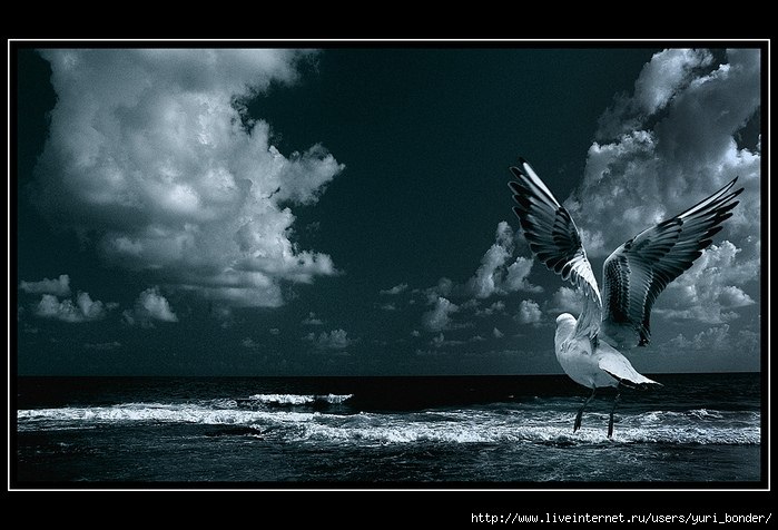 Серёга Мрачко | Санкт-Петербург