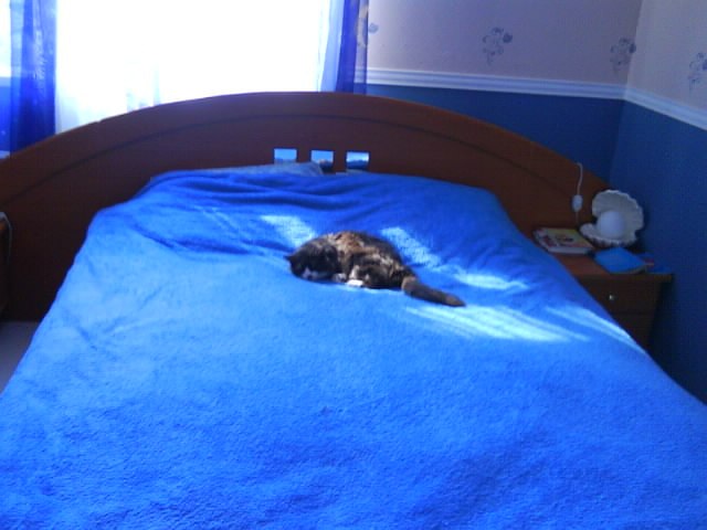 Татьяна Гоцкая | Киев