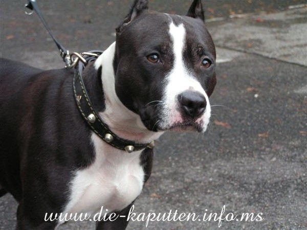 №65, Серёга Медведев, 22.5.1991, Омск №65, Серёга Медведев, 22.5.1991, Омск