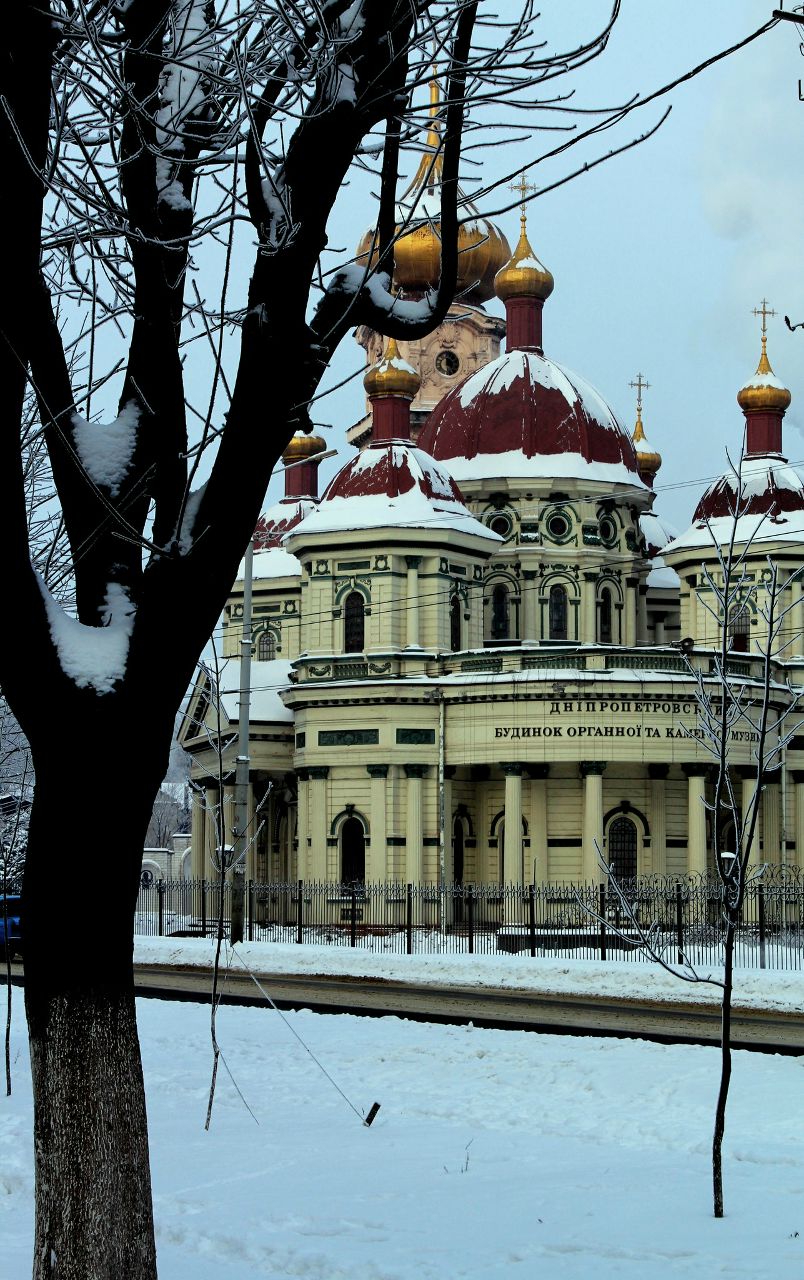 Алекса Волкова | Roma